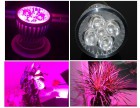Светодиодная лампа для растений Е27 10 Вт 5  светодиодов (3 крас 2 синий) - Производство и комплексная поставка электрооборудования - ТПК «Энерго-Комплекс»