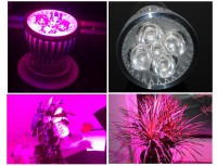 Светодиодная лампа для растений Е27 10 Вт 5  светодиодов (3 крас 2 синий) - Производство и комплексная поставка электрооборудования - ТПК «Энерго-Комплекс»