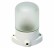 Светильник НПБ400 для сауны настенно-потолочный белый, IP54, 60 Вт, белый, TDM - Производство и комплексная поставка электрооборудования - ТПК «Энерго-Комплекс»